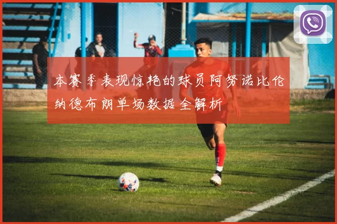 本赛季表现惊艳的球员阿努诺比伦纳德布朗单场数据全解析